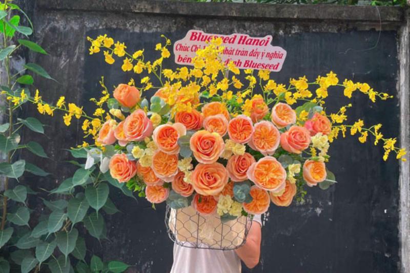 Hình ảnh minh họa các loại hoa ly với màu sắc đa dạng như trắng, hồng, vàng, cam thể hiện ý nghĩa hoa ly